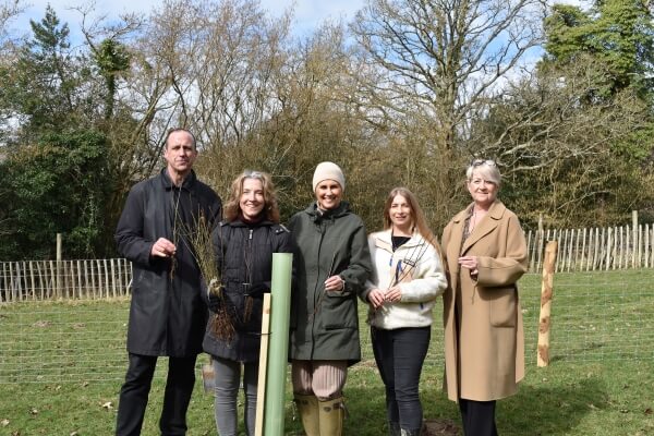 Markerstudy Staff Planting Trees 2
