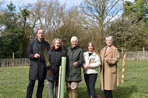 Markerstudy Staff Planting Trees 2